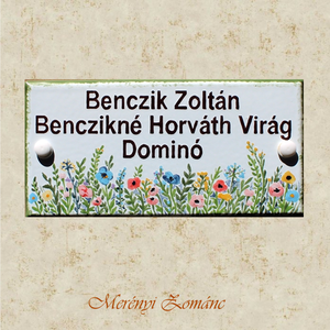 Tűzzománc névtábla., Otthon & Életmód, Ház & Kert, Névtábla, Tűzzománc, Festett tárgyak, MESKA