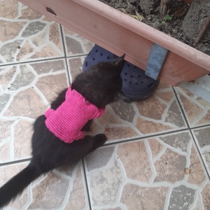 Kézzel horgolt kutya hátizsák kutyakaki zacsi tartó - otthon & életmód - kisállatoknak - kutyáknak - kutya ruházat - Meska.hu