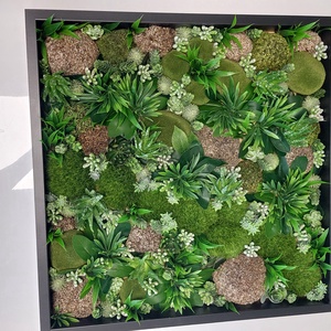 50x50cm falikép mohaszigetekkel és pozsgásokkal - otthon & életmód - dekoráció - kép & falikép - 3d képek - Meska.hu
