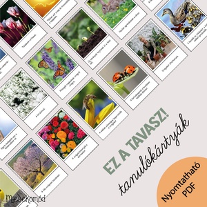 Ez a tavasz! - tanulókártyák valódi fotókkal - Meska.hu