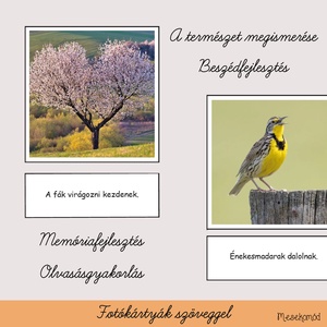 Ez a tavasz! - tanulókártyák valódi fotókkal - játék & sport - készségfejlesztő és logikai játék - oktató játékok - Meska.hu