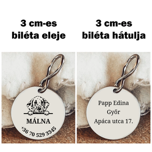 Dalmata kutyabiléta - otthon & életmód - kisállatoknak - kutyáknak - kutya biléta - Meska.hu