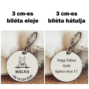 Bull terrier kutyabiléta - otthon & életmód - kisállatoknak - kutyáknak - kutya biléta - Meska.hu