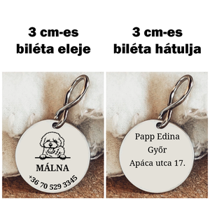 Bichon kutyabiléta - otthon & életmód - kisállatoknak - kutyáknak - kutya biléta - Meska.hu