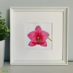 Rózsa, orchidea - akvarell festmény kerettel - művészet - festmény - akvarell - Meska.hu