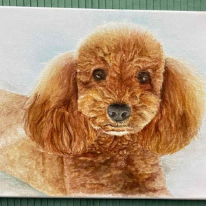 Egyedi festmény, kézzel festett állat portré - Meska.hu