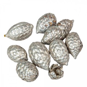 Cane fruit pálma mag 13 dkg - pezsgő, Kellékek & szerszámok, Dekorációs kellékek, Termések, terméscsomagok, , MESKA