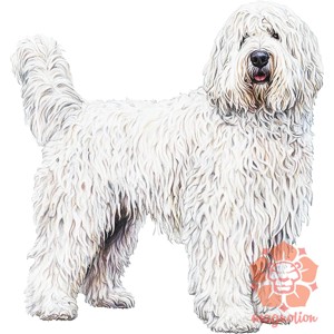 Komondor v2 - ruha & divat - babaruha & gyerekruha - póló - Meska.hu