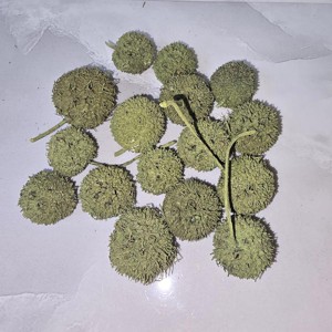 Ámbrafa termés - falfestékes olíva 5 dkg, Kellékek & szerszámok, Dekorációs kellékek, Termések, terméscsomagok, , MESKA