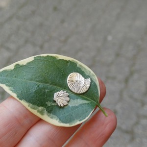Nature details - Kagyló ezüst fülbevaló - ékszer - fülbevaló - fülékszer - Meska.hu