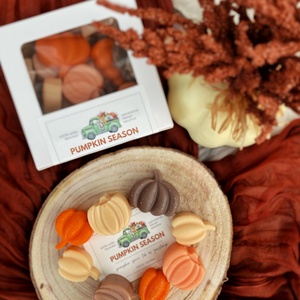 Pumpkin spice és tök-gesztenye illatú illatviasz (szójaviaszból), Otthon & Életmód, Gyertya, illat, aroma, Illatviasz, , MESKA