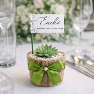 Kövirózsa vendégköszönő ajándék és ültető, Esküvő, Emlék & Ajándék, Köszönőajándék, Mindenmás, MESKA