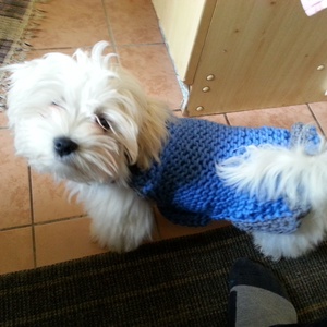 bélelt, kézzel kötött kutyaruha -  - Meska.hu