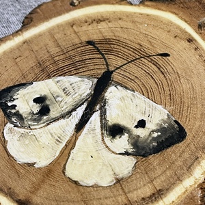 Lepkés - Fakorong kép - otthon & életmód - dekoráció - kép & falikép - fából készült kép - Meska.hu