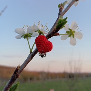 Piros mini szív klipsz  - ékszer - fülbevaló - klipsz - Meska.hu