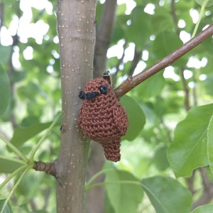 Feketerigó (tojó) kitűző  - ékszer - kitűző és bross - Meska.hu
