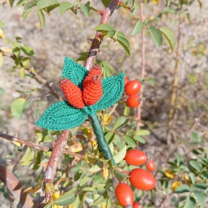 Csipkebogyó kitűző  - Meska.hu