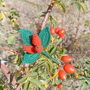 Csipkebogyó kitűző  - ékszer - kitűző és bross - Meska.hu