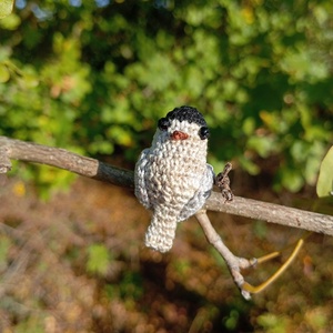 Barátposzáta (hím) kitűző  - ékszer - kitűző és bross - Meska.hu