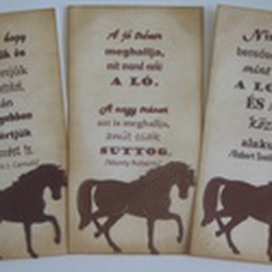 Lovasnapló/album könyvjelzővel - lovassport - lovas képekhez, idézetekhez, élményekhez - csoportoknak, versenyzőknek  - otthon & életmód - papír, írószer - album & fotóalbum - Meska.hu