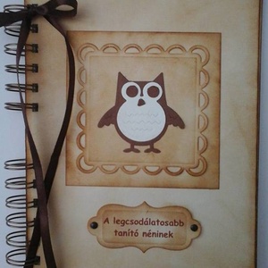 Diáküzenetek - Pedagógusajándék - búcsúalbum - ballagás  - emlékmegőrző - bagoly - útravaló üzenetek gyermekednek -emlék, Otthon & Életmód, Papír írószer, Album & Fotóalbum, Papírművészet, MESKA