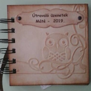 Ajándékozz emléket! - album  (napló)-  ballagás - bagolykedvelőknek - gyermekednek - legyen egy emléke - útravaló üzenet - otthon & életmód - papír, írószer - album & fotóalbum - Meska.hu