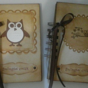 Bagolykedvelők albuma - Emlékmegőrző album - ballagóknak és ballagtatóknak - örök emlék - iskolai élmények - jókívánság  - otthon & életmód - papír, írószer - album & fotóalbum - Meska.hu