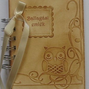Bagolykedvelők albuma - Emlékmegőrző album - ballagóknak és ballagtatóknak - örök emlék - iskolai élmények - jókívánság  - otthon & életmód - papír, írószer - album & fotóalbum - Meska.hu