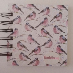 Természetjárás - emlékalbum - csoport- rendezvényajándék - találkozó résztvevőinek -   örök emlék - kézírás - madarak, Otthon & Életmód, Papír, írószer, Album & Fotóalbum, Papírművészet, MESKA
