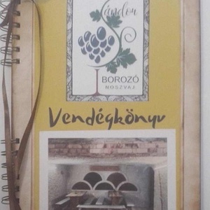 Bornapló  - borvacsora - borospince -rendezvény  - üzleti partner -  szülőköszöntő egy üveg borhoz  - legénybúcsú -emlék - otthon & életmód - papír, írószer - album & fotóalbum - Meska.hu
