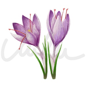 Sáfrányos szíves lógós  fülbevaló - ékszer - fülbevaló - lógó fülbevaló - Meska.hu