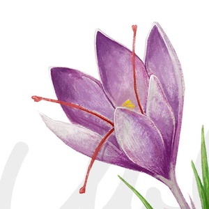 Sáfrányos karkötő - ékszer - karkötő - karkötő medállal - Meska.hu