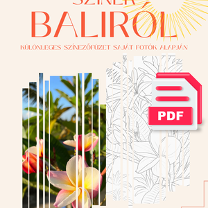 Bali színezőfüzet, 14db kontúrrajz saját fotó alapján, Művészet, Grafika & Illusztráció, Digitális, Fotó, grafika, rajz, illusztráció, MESKA