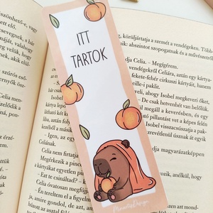 Kapibara itt tartok könyvjelző - könyv & zene - könyvjelző - Meska.hu