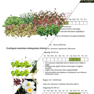 Félárnyékos mini kertterv csomag, Otthon & Életmód, Ház & Kert, Növény & Veteményes, Fotó, grafika, rajz, illusztráció, MESKA