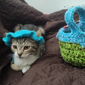 Horgolt Cica sapka - otthon & életmód - kisállatoknak - cicáknak & macskáknak - Meska.hu