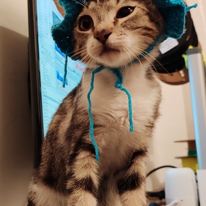 Horgolt Cica sapka, Otthon & Életmód, Kisállatoknak, Cicáknak & Macskáknak, Horgolás, Kötés, MESKA