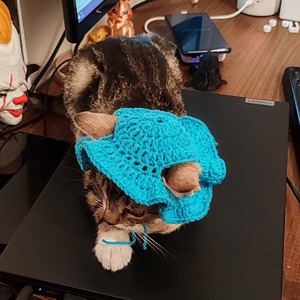 Horgolt Cica sapka - otthon & életmód - kisállatoknak - cicáknak & macskáknak - Meska.hu