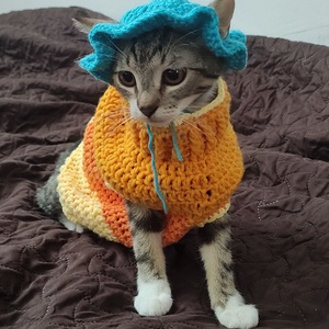 Horgolt Cica ruha - otthon & életmód - kisállatoknak - cicáknak & macskáknak - Meska.hu