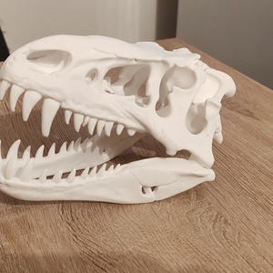 T-Rex �lethű koponya 3D, Játék & Sport, Plüssállat & Játékfigura, Plüss dínók, , MESKA