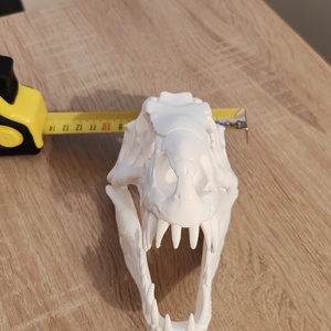 T-Rex �lethű koponya 3D - játék & sport - plüssállat & játékfigura - plüss dínók - Meska.hu