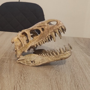 T-Rex �lethű koponya Festett 3D - játék & sport - plüssállat & játékfigura - plüss dínók - Meska.hu