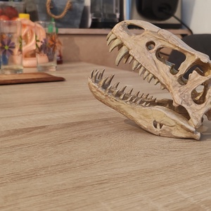 T-Rex �lethű koponya Festett 3D, Játék & Sport, Plüssállat & Játékfigura, Plüss dínók, , MESKA