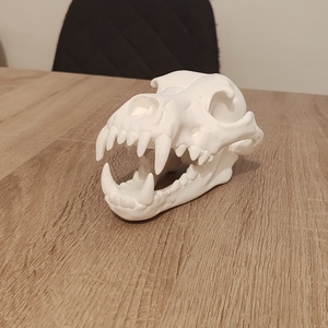 Farkas koponya 3D, Játék & Sport, Plüssállat & Játékfigura, Plüss dínók, , MESKA