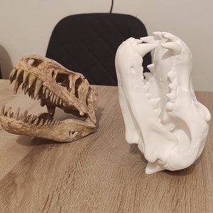 Farkas koponya 3D - játék & sport - plüssállat & játékfigura - plüss dínók - Meska.hu