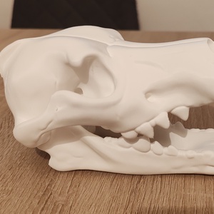 Farkas koponya 3D - játék & sport - plüssállat & játékfigura - plüss dínók - Meska.hu