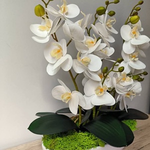 Lepke orchidea dekoráció csónak kaspóban - otthon & életmód - dekoráció - asztal és polc dekoráció - asztaldísz - Meska.hu