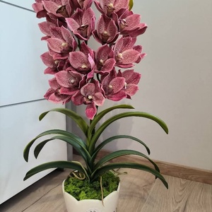 Csónakorchidea dekoráció, Otthon & Életmód, Dekoráció, Asztal és polc dekoráció, Asztaldísz, Virágkötés, MESKA