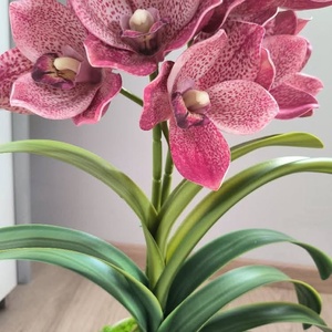 Csónakorchidea dekoráció - otthon & életmód - dekoráció - asztal és polc dekoráció - asztaldísz - Meska.hu