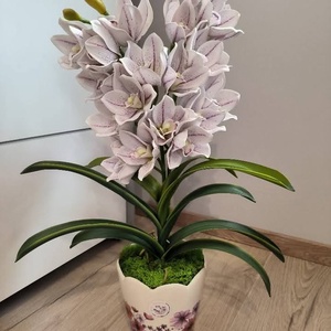 Csónakorchidea dekoráció, Otthon & Életmód, Dekoráció, Asztal és polc dekoráció, Asztaldísz, Virágkötés, MESKA